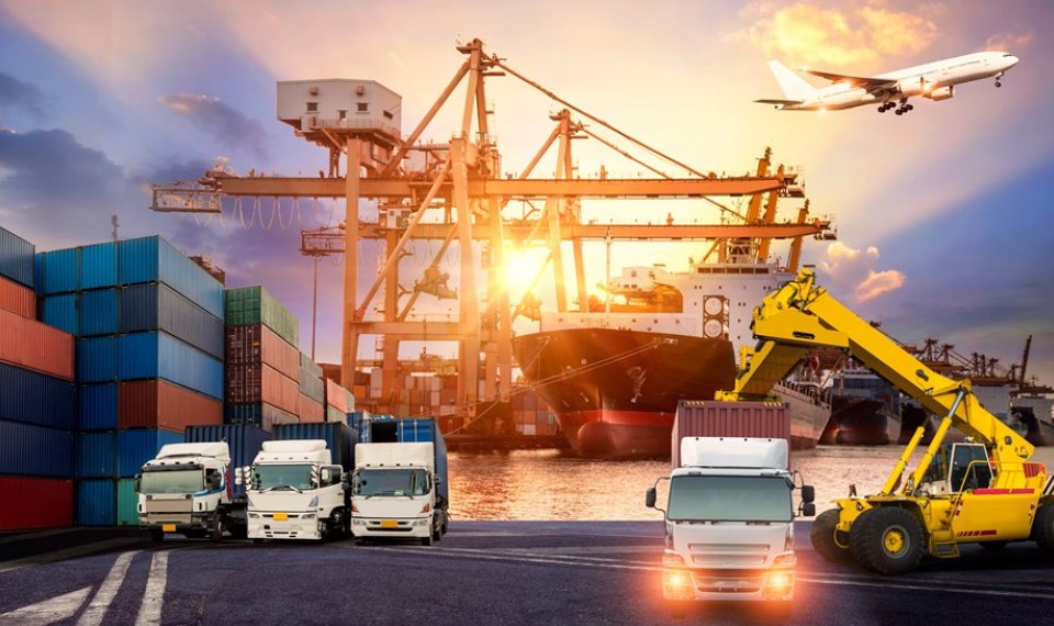 Foodstuff import export