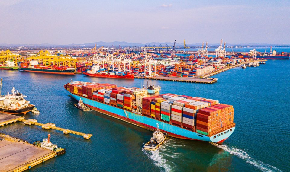 Import and export company