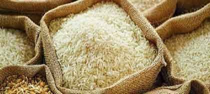 Rice Import & Export